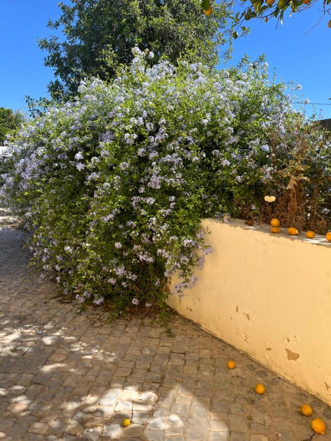 Quinta Da Layla Villa Olhao Exterior photo